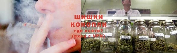 стафф Магадан
