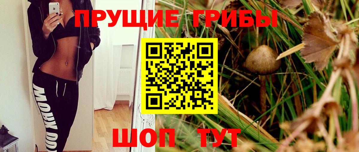 Джанкой  Галлюциногенные грибы Magic Shrooms  Вход с VPN  Псилоцибиновые грибы Magic Shrooms 